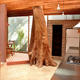 Image for article titled 8 Buildings Designed to Incorporate the Trees Around Them